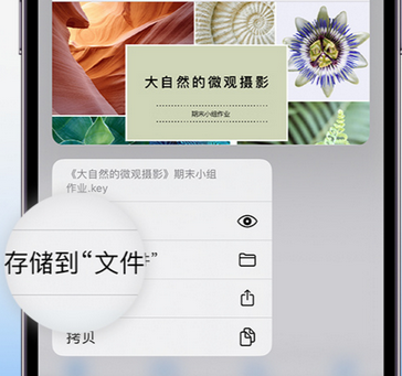 园林办事处apple维修中心分享iPhone文件应用中存储和找到下载文件