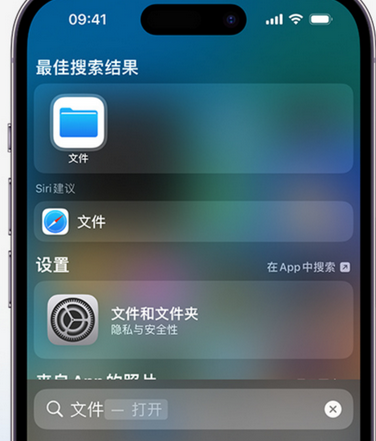 园林办事处apple维修中心分享iPhone文件应用中存储和找到下载文件 