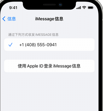 园林办事处apple维修iPhone上无法正常发送iMessage信息 