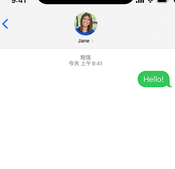 园林办事处apple维修iPhone上无法正常发送iMessage信息