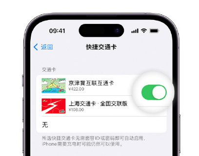 园林办事处apple维修点分享iPhone上更换Apple Pay快捷交通卡手绘卡面 