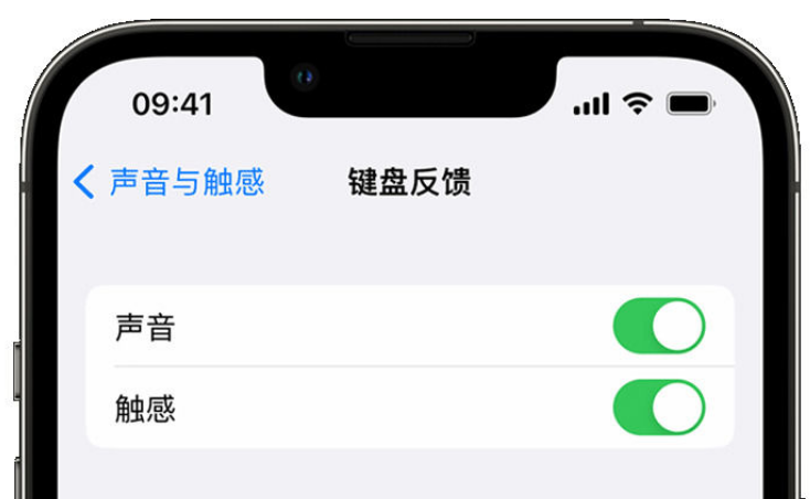 园林办事处苹果手机维修分享iPhone 14触感键盘使用方法 