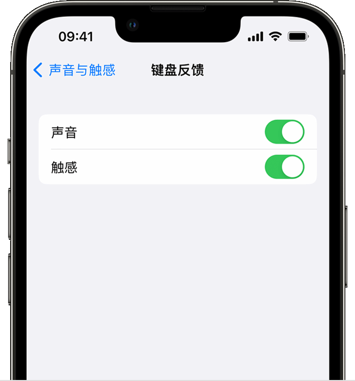 园林办事处苹果14维修店分享如何在 iPhone 14 机型中使用触感键盘 