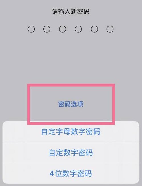 园林办事处苹果14维修分享iPhone 14plus设置密码的方法 