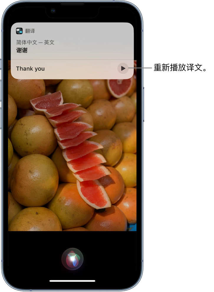 园林办事处苹果14维修分享 iPhone 14 机型中使用 Siri：了解 Siri 能帮你做什么 