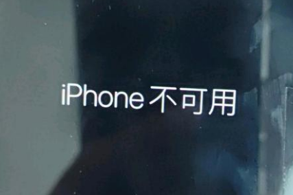 园林办事处苹果服务网点分享锁屏界面显示“iPhone 不可用”如何解决 