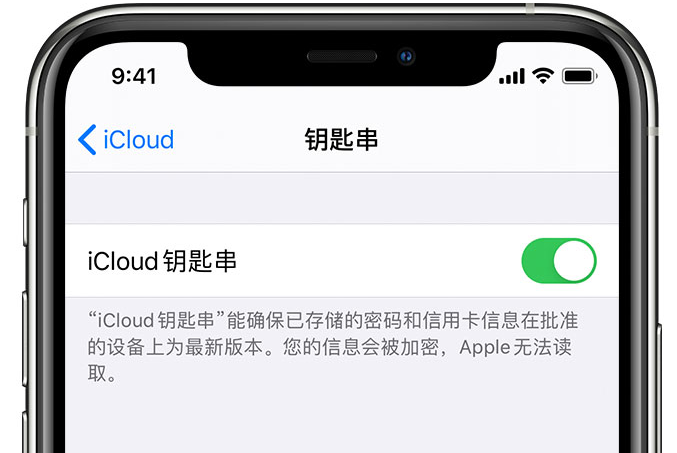 园林办事处苹果手机维修分享在 iPhone 上开启 iCloud 钥匙串之后会储存哪些信息 