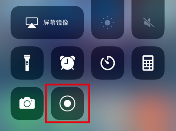 园林办事处苹果手机维修分享iPhone12录屏方法教程 